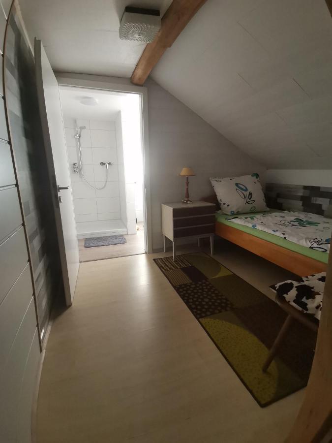 Apartment Gästezimmer Im Dg Dachschräge Mit Kleinem Bad Wlan, Tv Und Parkplatz *